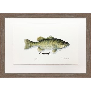 CL- SMALLMOUTH BASS